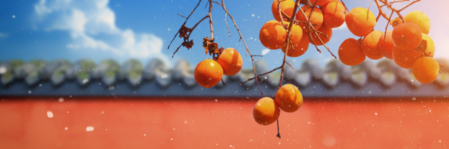 霜降 | 寒霜冬將至，補(bǔ)陽須及時