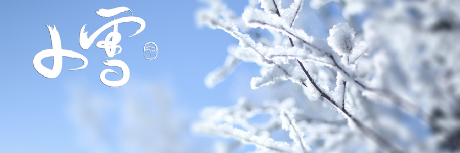 小雪丨雪落天地寒，愿君多珍重