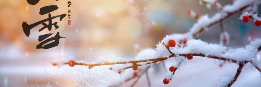 大雪丨 養(yǎng)陰護陽，君心不忘