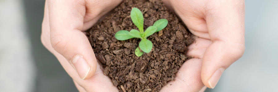 火運(yùn)不及的癸卯年，亟需補(bǔ)火護(hù)陽(yáng)！