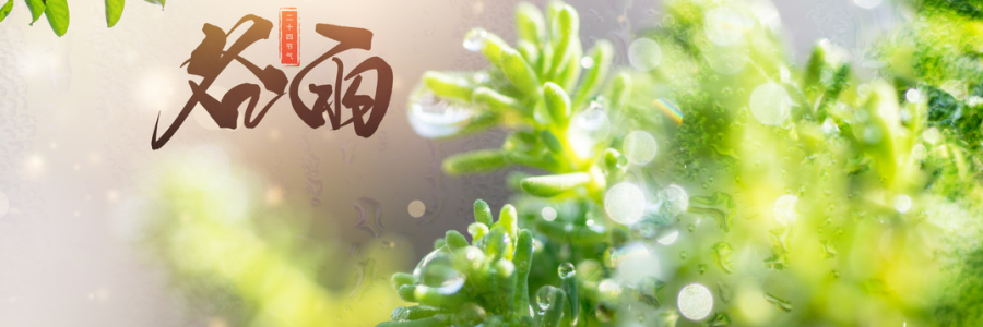 谷雨丨雨生百谷，人間向暖