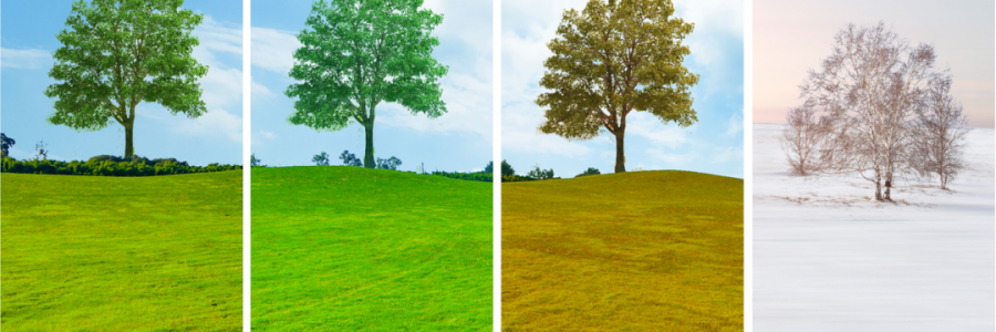 讀懂五臟五行與四季的關(guān)系，養(yǎng)生才算入門(mén)……