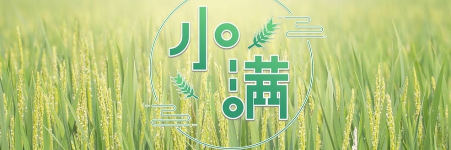 小滿 | 萬物漸豐，小得盈滿