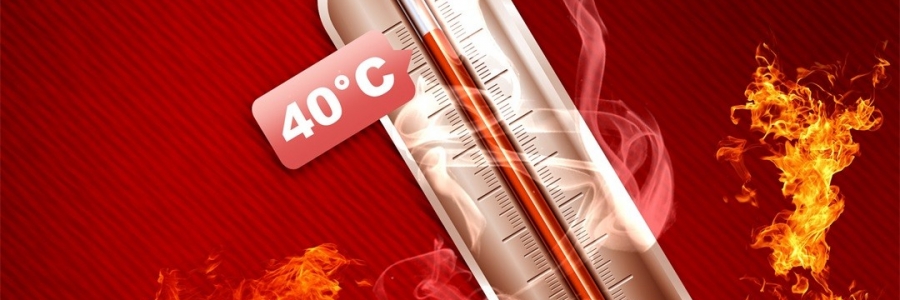 真的會“熱死人”！這個“夏天殺手”要警惕！