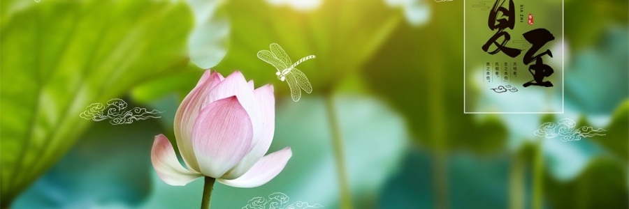 夏至 | 陽極陰生，美好日長