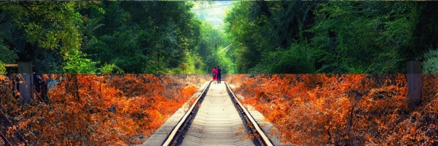 趁熱“拔除”頑固疾病，讓體質(zhì)打個(gè)翻身仗！