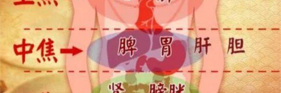 突破600億播放量的《羅剎海市》，竟然還暗藏中醫(yī)奧秘？