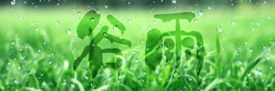 谷雨丨健脾祛濕，安然迎夏