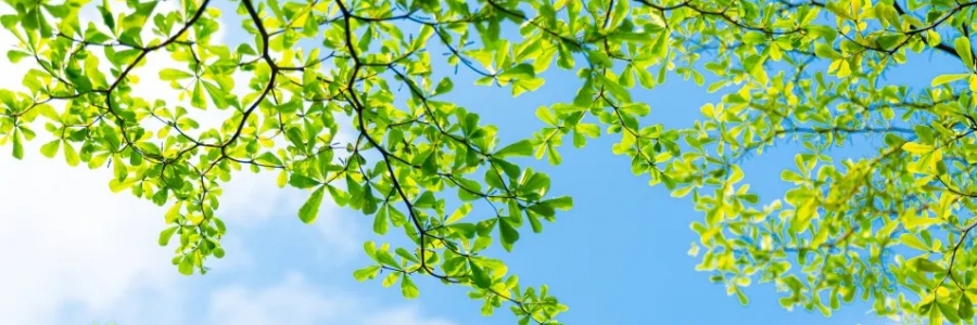 警告：夏天千萬不能做的5件事！快來看看~