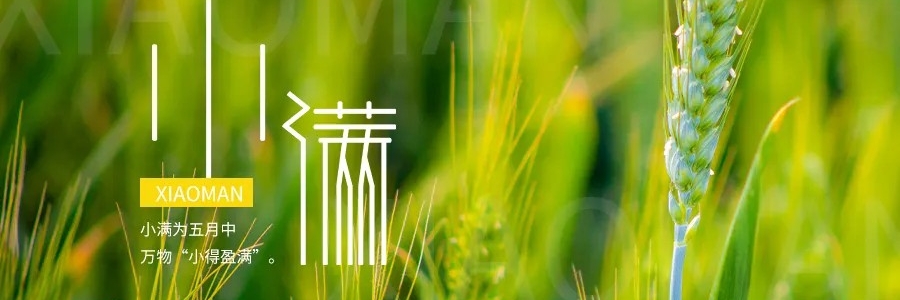 小滿丨小得盈滿，平安入夏