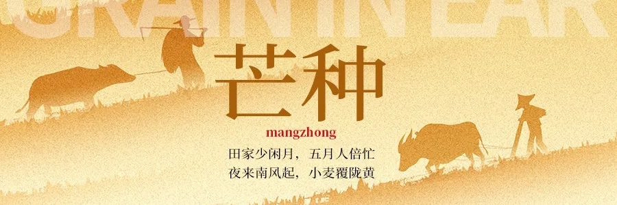 芒種丨“芒”有所獲，“種”有所得