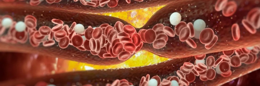 經(jīng)絡(luò)通，百病消！身體經(jīng)絡(luò)通了是什么感覺？