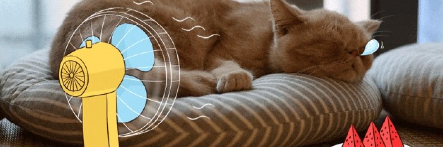 越睡越困的夏天，一個穴位趕走疲倦……