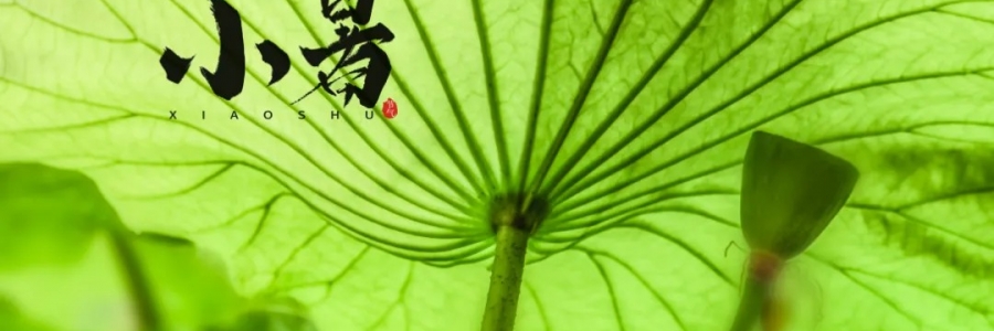 小暑丨避暑養(yǎng)心，準(zhǔn)備入伏