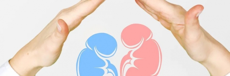 兩個(gè)人體的“長(zhǎng)壽穴”，每天揉一揉，健康又長(zhǎng)壽