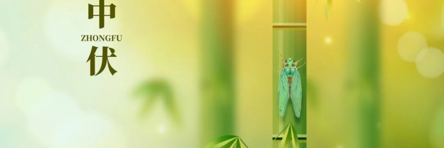 三伏灸丨破三冰，泄三濁，清五毒，祛六淫！