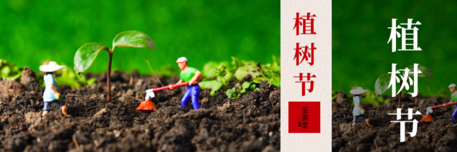 外植綠樹，內(nèi)養(yǎng)肝木，別忘給身體也“種下”護(hù)肝種子！