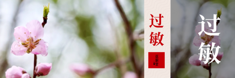 水泥封鼻、眼睛癢？四月過敏季，快和鼻炎說拜拜！